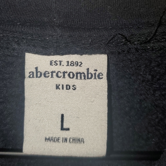 A&F Boys Hoodie Sweatshirt Navy Blue Large - Picture 6 of 6